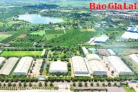 Báo chí Gia Lai đồng hành cùng doanh nghiệp