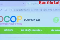 Đưa sản phẩm nông nghiệp lên sàn thương mại điện tử - Cơ hội và thách thức cho nông dân, hợp tác xã