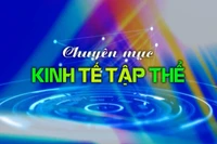 Chuyên mục Kinh tế tập thể Gia Lai 20-5-2025