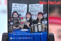 Thanh niên Gia Lai góp sức trẻ tham gia chuyển đổi số