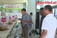 Nâng cao hiệu quả hoạt động cho hợp tác xã