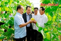Đồng Chí Rah Lan Chung, Chủ tịch UBND tỉnh làm việc với Ban Thường vụ huyện Chư Păh