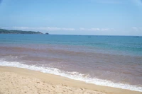 UBND phường Hoài Nhơn Bắc đang xác định nguyên nhân hiện tượng nước biển ven bờ bị đổi màu.