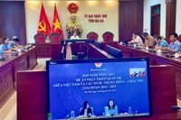 Tổng kết đề án phát triển quan hệ giữa Việt Nam và các nước Trung Đông-châu Phi