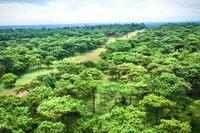 UBND tỉnh Gia Lai chấp thuận Công ty TNHH Đầu tư và Quản lý tòa nhà Ion Complex là nhà đầu tư thực hiện dự án Sân golf Đak Đoa với tổng vốn hơn 1.150 tỷ đồng vào ngày 15-1.