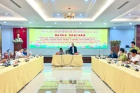 Hội nghị
