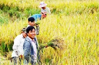 Khơi dậy ý chí, khát vọng thoát nghèo - Kỳ 2: Để mỗi vùng sâu cùng vượt lên