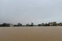 Bão Trà Mi gây mưa lớn hơn bão YAGI