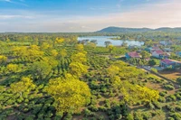 Sức sống mới trên thung lũng Ia Drăng