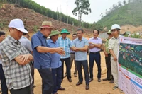 "Thức" cùng... cao tốc - Kỳ 2: Theo sát bài toán về vốn và rừng