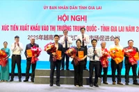 Các doanh nghiệp 2 tỉnh Quảng Tây và Gia Lai ký kết biên bản ghi nhớ hợp tác. Ảnh: Vũ Thảo