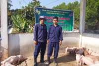 Trung tâm Giống nông nghiệp tỉnh Gia Lai ra quân sản xuất đầu năm.