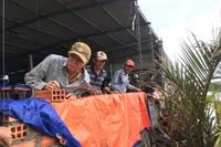 Lũ lụt gây thiệt hại nặng về chăn nuôi và trồng trọt 