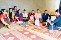 Cần tiếp tục đẩy mạnh công tác tuyên truyền chăm sóc sức khỏe sinh sản ở các thôn, làng địa bàn phía Tây tỉnh, góp phần giảm thiểu tình trạng sinh con tại nhà. Ảnh: Như Nguyện
