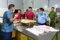 Lực lượng Quản lý thị trường và Công an kiểm tra, xử lý vi phạm tại một hộ kinh doanh heo đông lạnh trên địa bàn xã Hoài Ân. Ảnh: N.C