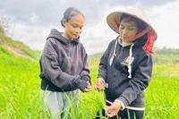 Ký ức lúa nương thiêng