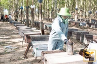 Chị Nguyễn Thị Kim Hân (khối Phú Xuân, xã Tây Sơn, bên trái) hướng dẫn lao động nữ làm việc tại cơ sở may của mình. Ảnh: Hải Yến