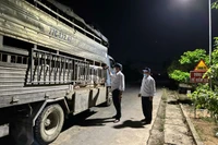 Gia Lai: Kiểm soát giết mổ, đảm bảo thịt heo sạch đến tay người tiêu dùng