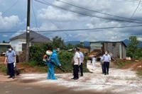 Căng mình bảo vệ đàn vật nuôi trước dịch tả heo châu Phi