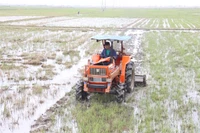 Tập trung khôi phục đồng ruộng để kịp vụ Ðông Xuân