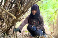 Viết giữa mùa măng rừng