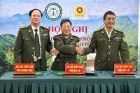 Phối hợp liên vùng: “Chìa khóa” nâng cao hiệu quả bảo vệ rừng