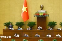 Phó Chủ tịch Quốc hội Vũ Hồng Thanh phát biểu tại phiên thảo luận về kết quả thực hiện kế hoạch phát triển kinh tế-xã hội năm 2025. Ảnh: Doãn Tấn/TTXVN