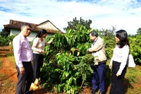 Ðiểm tựa giúp đồng bào dân tộc thiểu số an cư, lập nghiệp