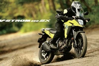 Suzuki V-Strom 250SX: Chiếc xe linh hoạt cho những người đam mê khám phá với giá 132 triệu đồng