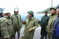 Phó Chủ tịch Thường trực UBND tỉnh Nguyễn Tuấn Thanh đã đi kiểm tra công tác ứng phó bão số 13 tại các khu vực thuộc phường Quy Nhơn Đông.