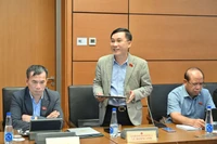 Theo ĐB Hoàng Anh, bối cảnh quốc tế hiện nay đặt ra yêu cầu rất lớn đối với Việt Nam về tự chủ chiến lược.