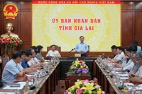 Chủ tịch UBND tỉnh Phạm Anh Tuấn phát biểu chỉ đạo tại làm việc với các chủ đầu tư hạ tầng các khu, cụm công nghiệp trên địa bàn tỉnh. 