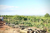 Dự án đường bộ cao tốc Quy Nhơn - Pleiku: Người dân Đak Đoa tự giác bàn giao mặt bằng thi công