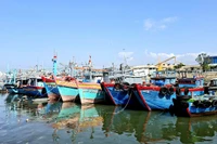 Tháo gỡ những “điểm nghẽn” để ngăn chặn khai thác IUU