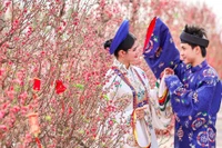 Đường hoa mai - đào lớn nhất miền Nam tại Cần Giờ nở rộ, check-in là 'auto' choáng ngợp