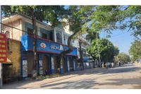 Vụ hơn 130 tấn thịt nhiễm dịch tả heo châu Phi, thông tin mới từ Công ty CP Đồ hộp Hạ Long