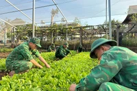 Bộ đội Biên phòng bảo đảm hậu cần đón Tết