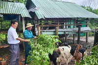 Phát huy vai trò tổ chức Đảng trong vùng dân tộc thiểu số