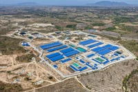 Dự án chăn nuôi công nghệ cao Gia Lai vận hành sớm hơn kế hoạch