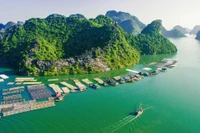 Khám phá những vùng biển trải dài khắp từ Bắc đến Nam qua sách song ngữ