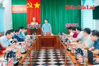 Phó Bí thư Tỉnh ủy Nguyễn Ngọc Lương: Làm việc với Ban Thường vụ Huyện ủy Đak Đoa, Chư Păh