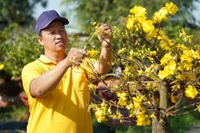 Thời tiết ngày mùng 5 Tết: Miền Nam có nơi nóng hơn 35°C