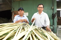 Làm mới nghề xưa