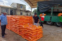 Gia Lai: Hỗ trợ 30 tấn phân hữu cơ vi sinh sản xuất cà phê hữu cơ