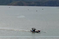Ngăn chặn tình trạng khai thác thủy sản trái phép trên đầm Thị Nại