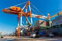 Linh hoạt thích ứng, tăng thu từ xuất nhập khẩu