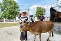 Giảm nghèo bền vững từ những việc làm cụ thể