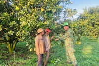 Chung mục tiêu vì đời sống hội viên cựu chiến binh