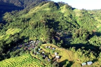 'Phu sâm' ở núi Ngọc Linh