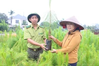 “Thảm đỏ” cho các dự án trồng rừng
